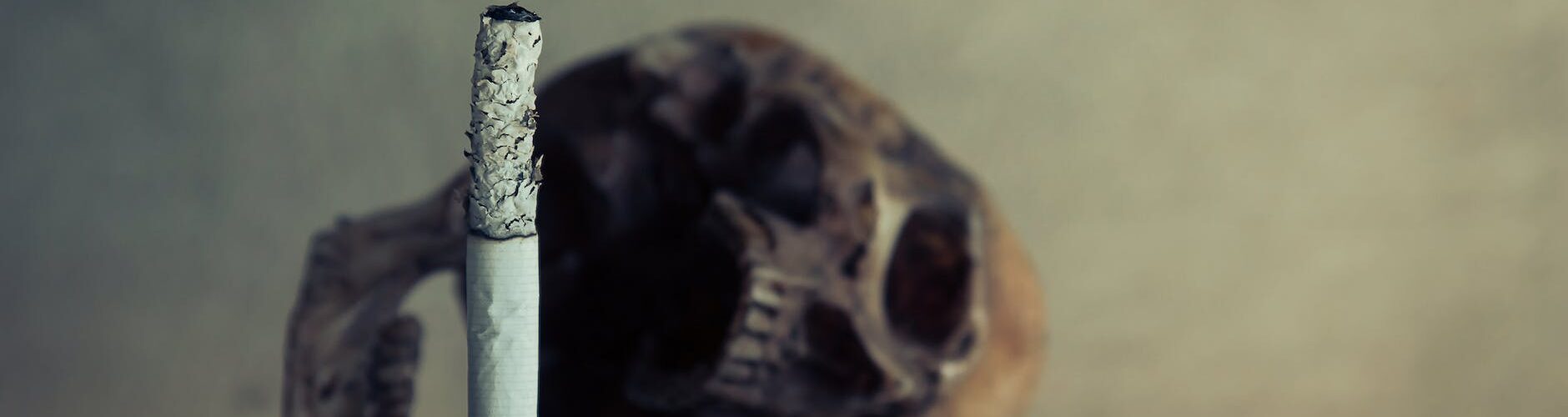 close up photo of burnt cigarette ashes