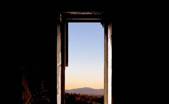 wood dark summer dirty