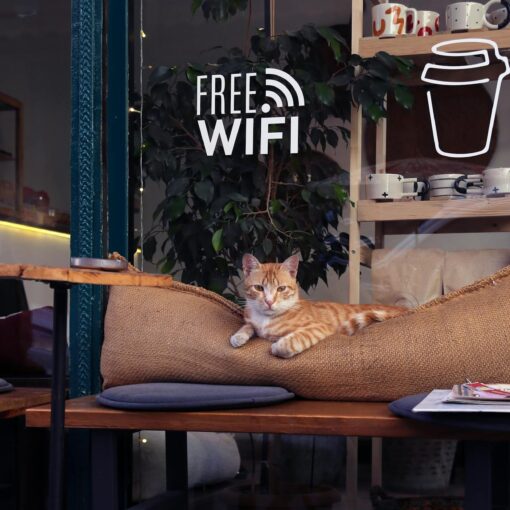 cat lying on pillow of sidewalk cafe