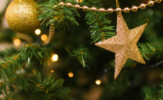 blur branch celebration christmas